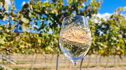 wineries